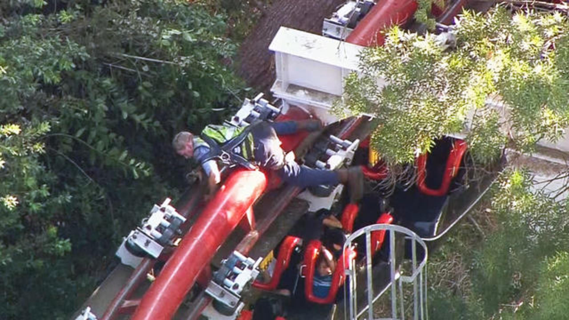 California roller coaster derails injures six