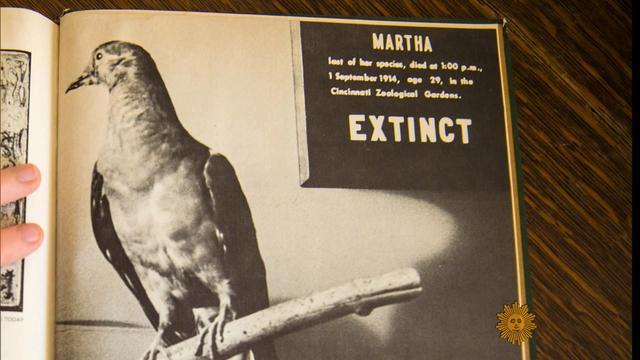 sm-0907-extinction-273866-640x360.jpg 