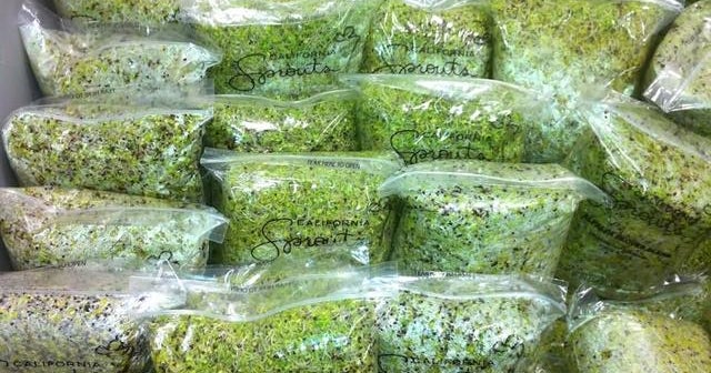 Can broccoli help combat autism symptoms? CBS News