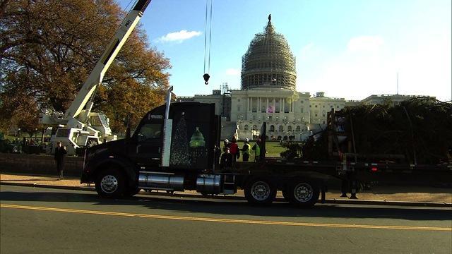 politics-capitoltree-1121-311710-640x360.jpg 