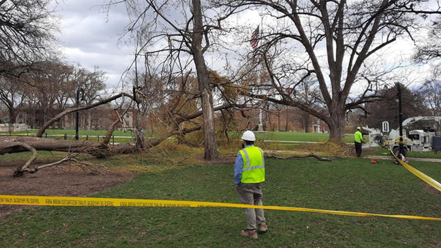 old-willow-penn-state.jpg 