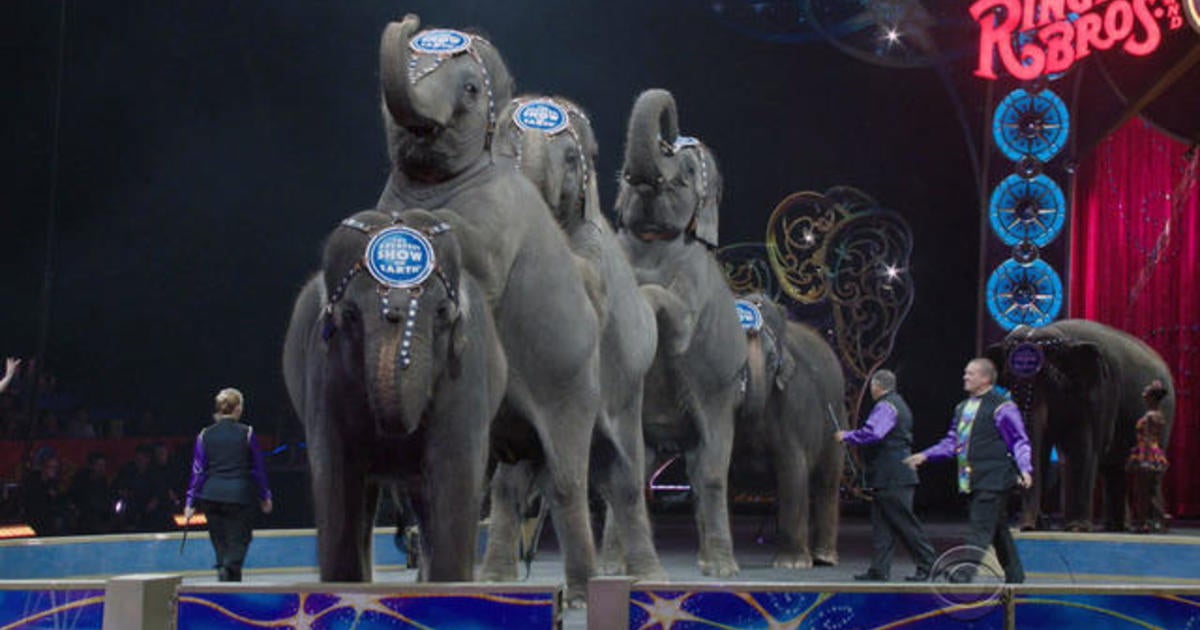 Ringling Bros. ends iconic tradition - CBS News