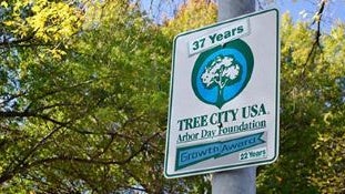 tree-city-usa-banner_original.jpg 