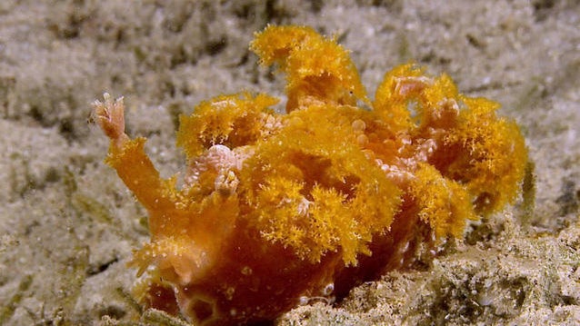 sm-nature-0614-1-406744-640x360.jpg 