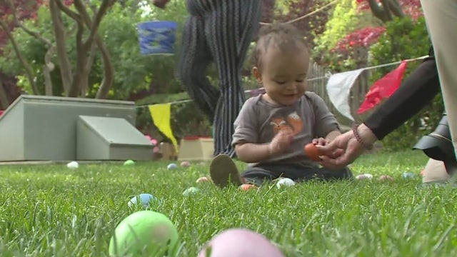 easter-egg-hunt.jpg 