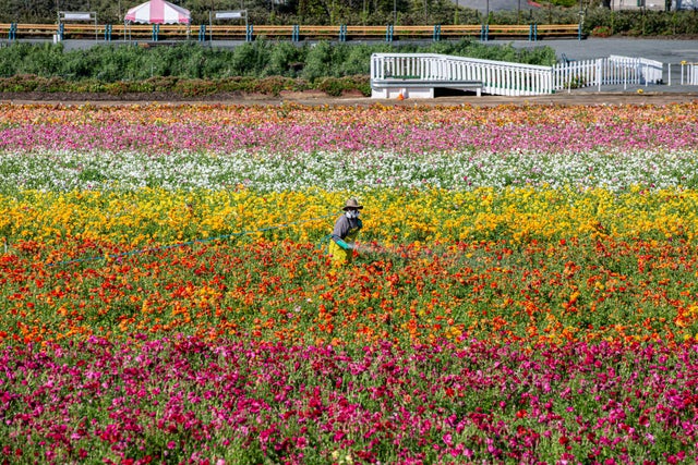 Entertainment Venues Remain Closed In San Diego Due To Restrictive Coronavirus Measures 