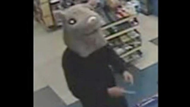 cbsn-0715-rodent-robber001-421630-640x360.jpg 