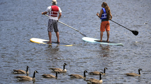 paddleboard.jpg 