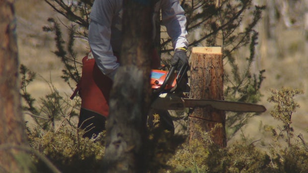 BAILEY WILDFIRE RESPONSE LL PKG.transfer_frame_2011 