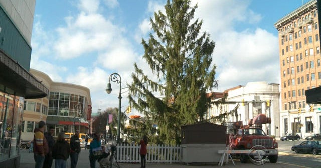 Ugliest christmas tree in england