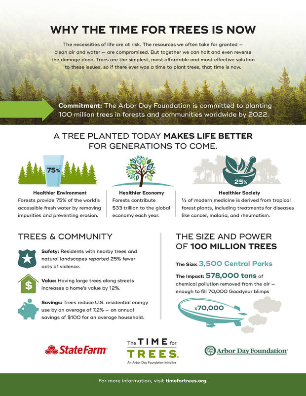 Arbor Day Trees Infographic 
