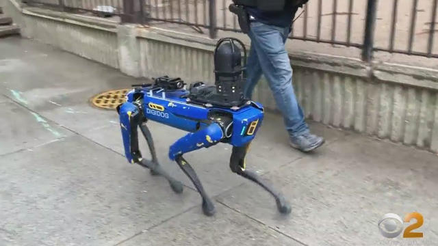 nypd-digidog.jpg 