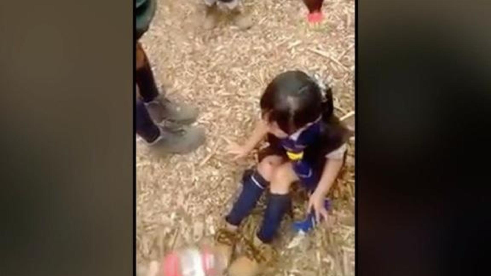 Todo en Uno: Se captura video de bullying contra niña - CBS News