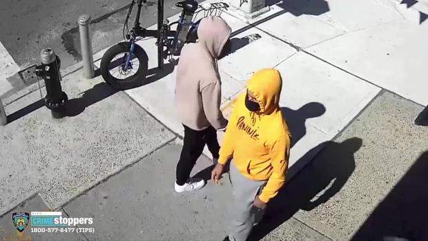 Briarwood Queens Robbery And Assault 