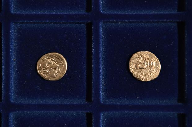 Hungarian coins discovered 