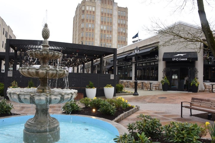 Lola's Garden In Ardmore's Suburban Square Opens With Preview Party