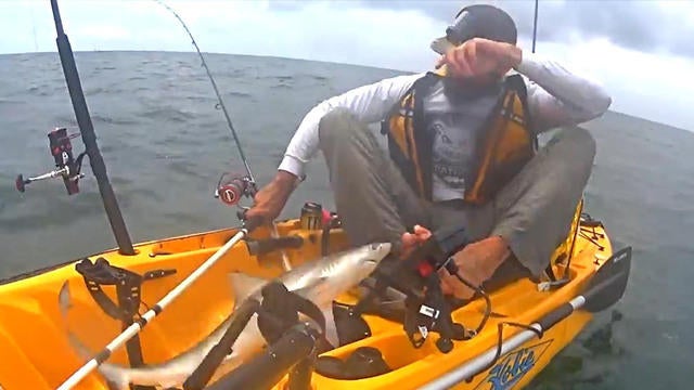 cbsn-shark-0523-1067717-640x360.jpg 