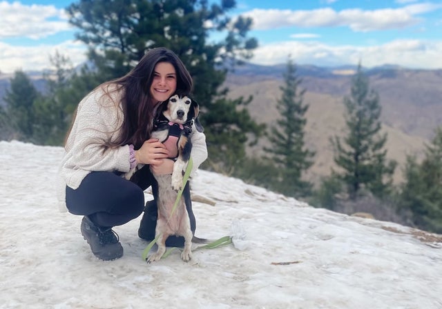 westminster stolen dog solo 