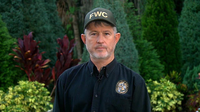 0615-ctm-wiley-alligatorqanda-1078730-640x360.jpg 
