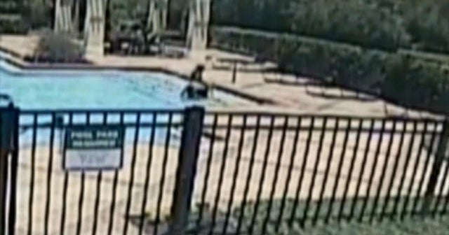 Police investigating after 8-year-old drowns in pool during house party in North Lauderdale Police investigating after 8-year-old drowns in pool during house party in North Lauderdale