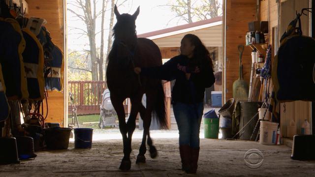 eve-hartman-horse-0807-pic2-1102918-640x360.jpg 