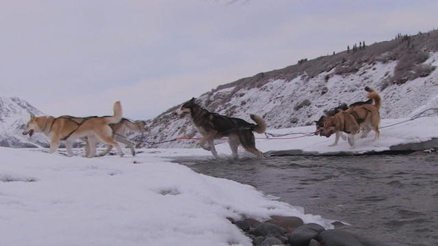 sunmo-sled-dogs-0918-1125888-640x360.jpg 