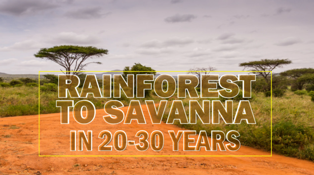 rainforest-to-savanna-in-20-years.png 