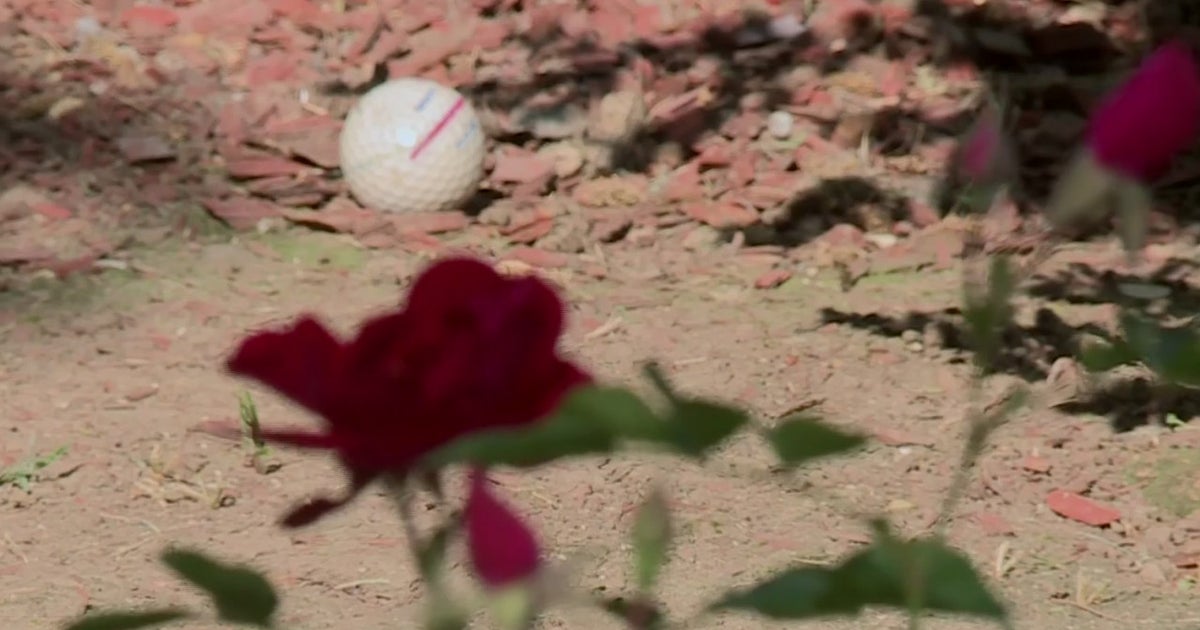 'The Damage Is Bad' Sacramento Neighbors Fed Up After Wayward Golf