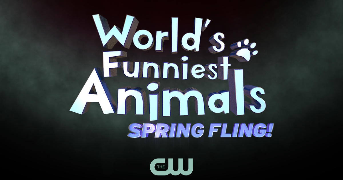 World's Funniest Animals: Spring Fling - CBS Detroit