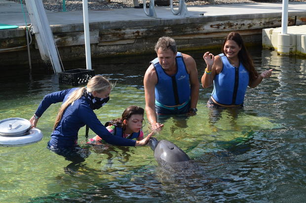Dolphins Plus Make a wISH 