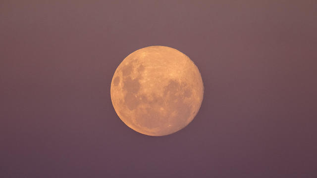 Pink Super Moon Seen Over Sydney 