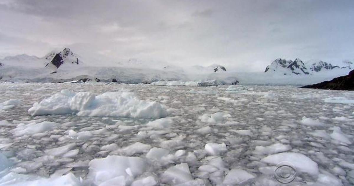 Climate Diaries: Shrinking Antarctic ice worries scientists - CBS News