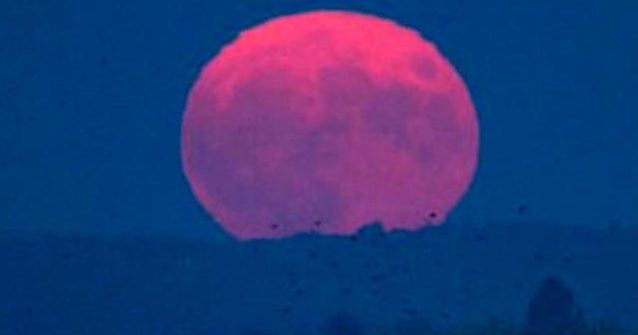 Look out for a pink moon tonight CBS News