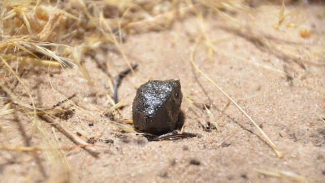 fragment-of-asteroid-2018-la-jenniskens.jpg 