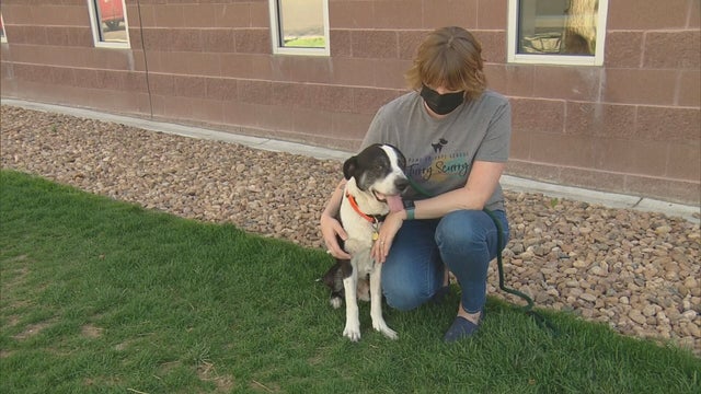 FURRY SCURRY 5PKG.transfer_frame_73 