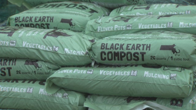 BLACK-EARTH-COMPOST-1_frame_65310.jpg 
