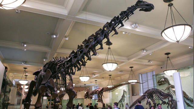 0809-wochit-dinosaurfinal-1371523-640x360.jpg 
