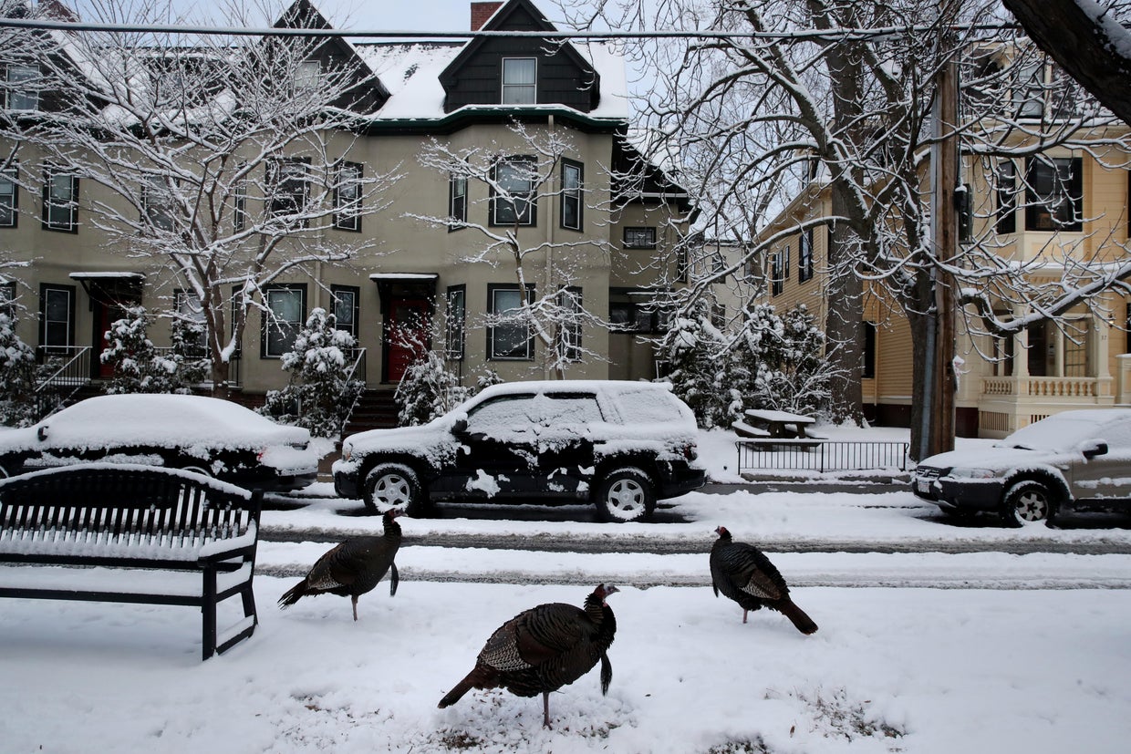 Snowstorm In Cambridge 