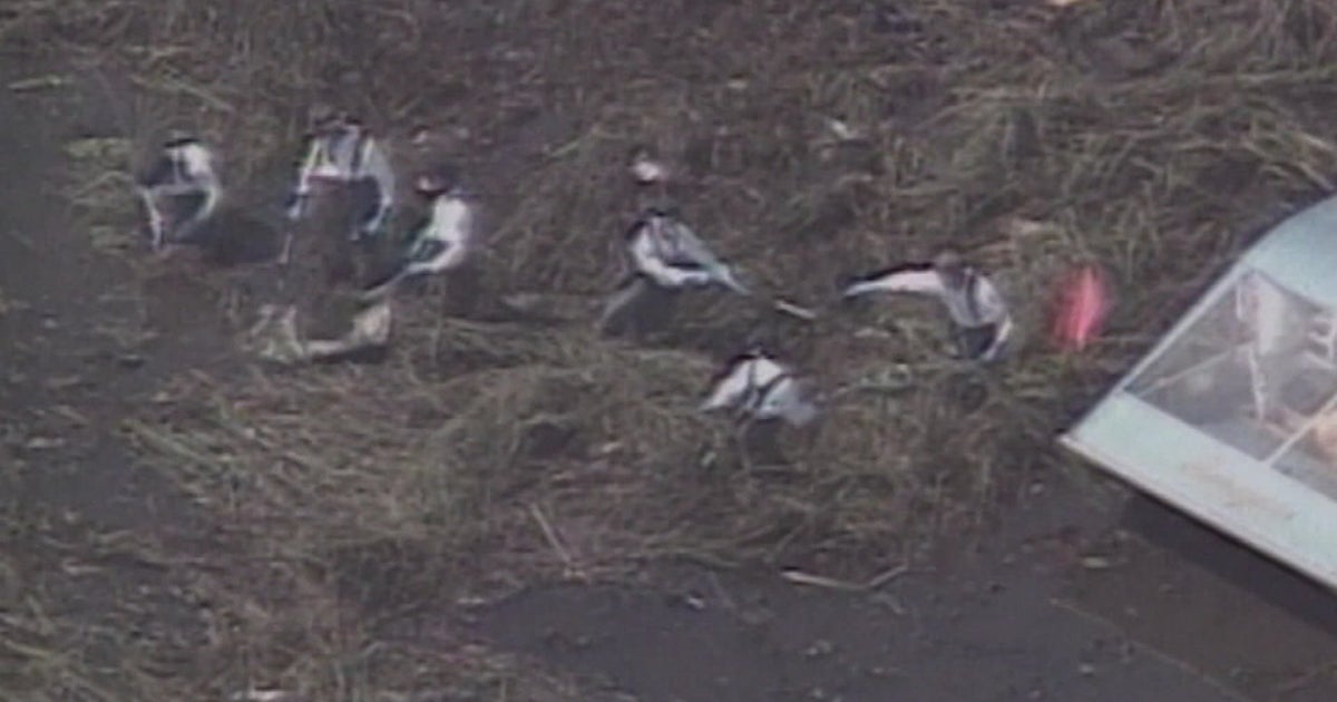 'It Smelled Like Motor Fuel And Death' First Responders Recall Valujet Crash 25 Years Later