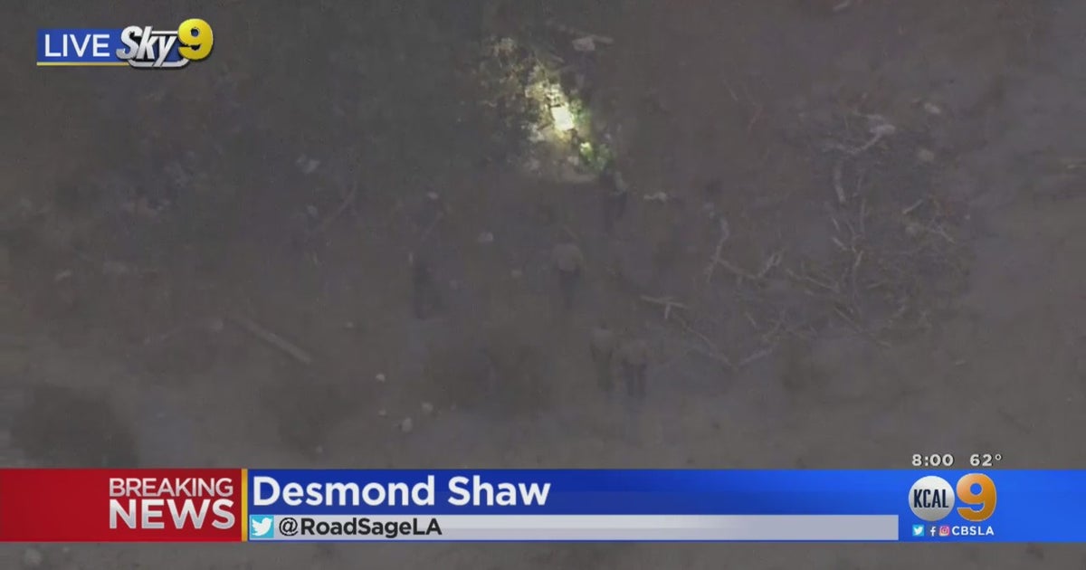 Man Arrested After Allegedly Shooting At Deputies With Pellet Gun - CBS ...