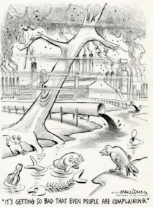 Bill Mauldin Cartoons