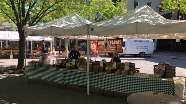 market-square-farmers-market-2.png 