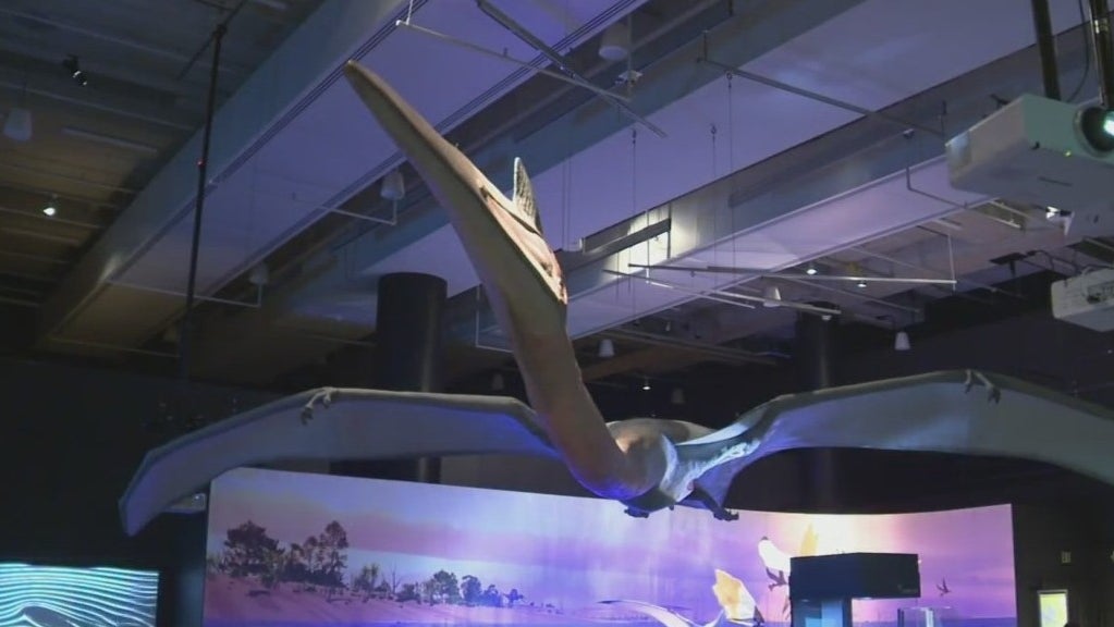 pterosaurs frost science