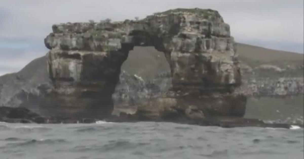 Top of famed Darwin s Arch collapses from erosion