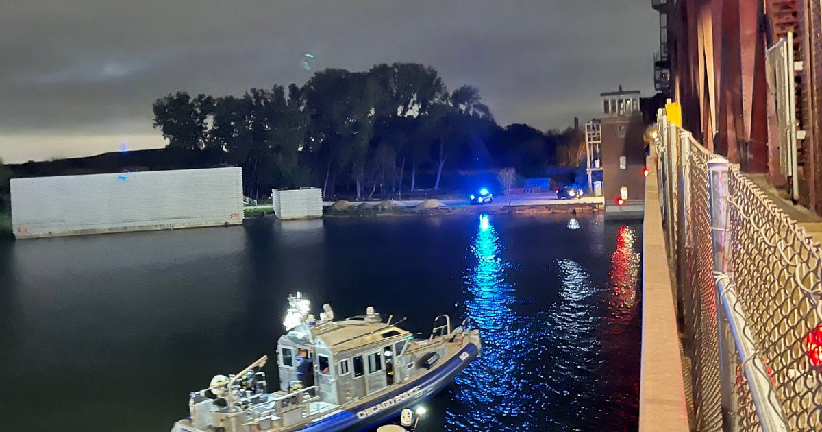 Teenage Boy, Man Rescued After Car Plunges Into Calumet River At ...