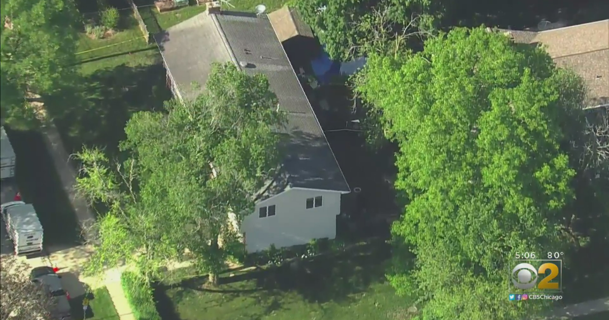 Digging Continues Outside Onetime Northbrook Home Of Linda Seymour ...