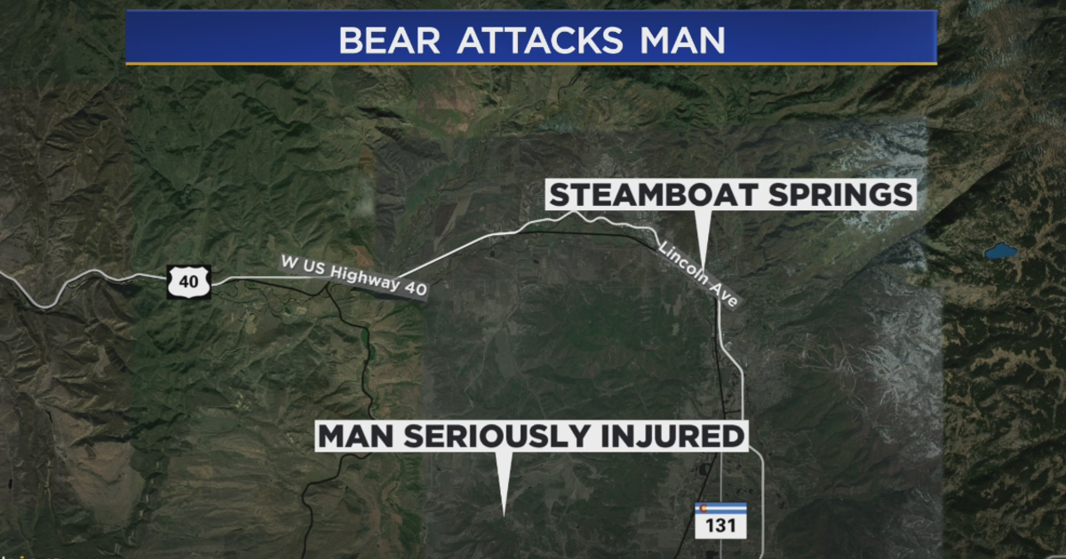 Routt County Man Attacked By Bear That Wandered Into His Garage With   Bear Attack Map 