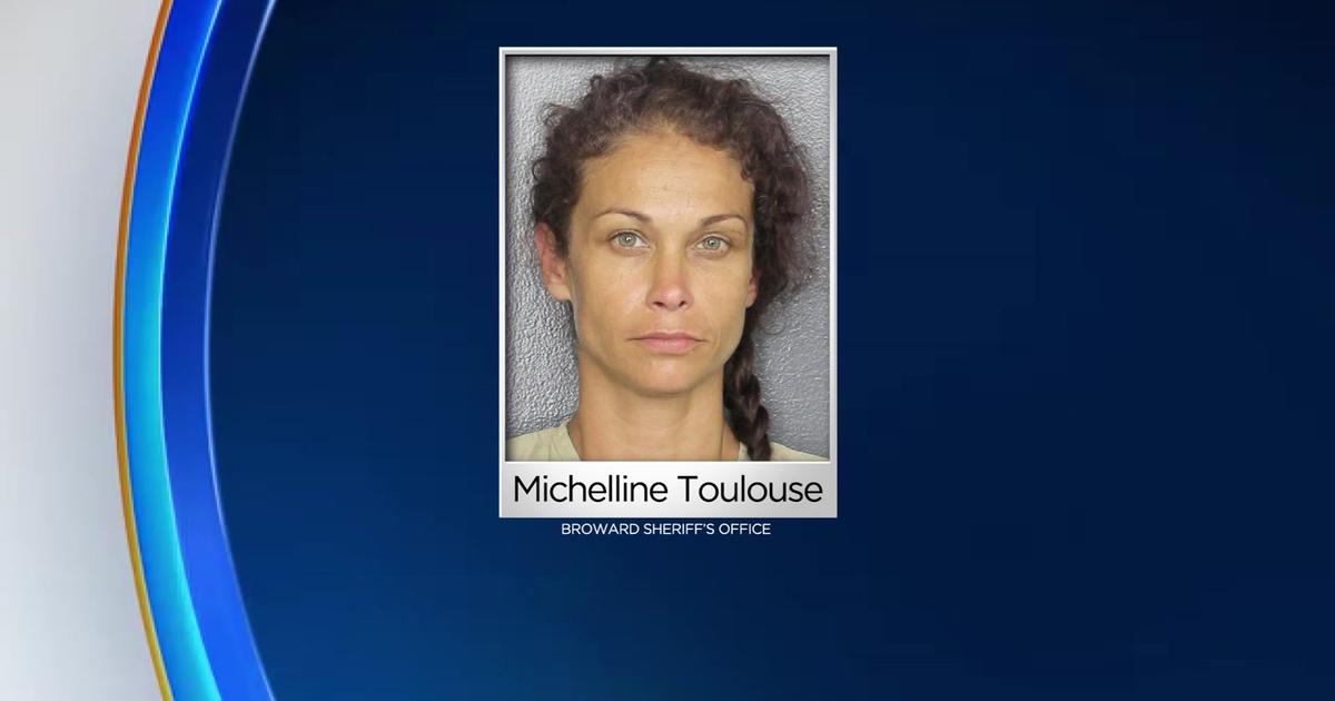 Michelline Toulouse: Broward County cat hoarder sentenced to three-year prison term for animal abuse