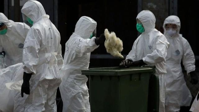 cbsn-fusion-h10n3-bird-flu-china-reports-first-human-case-thumbnail-727045-640x360.jpg 