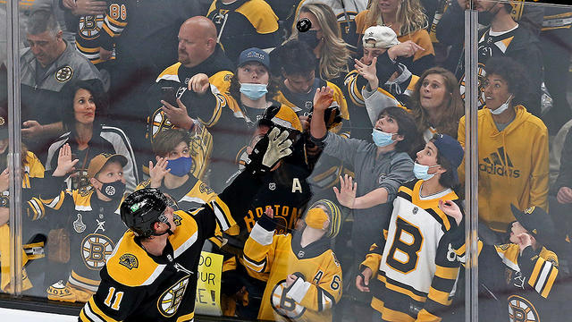 bruins.jpg 